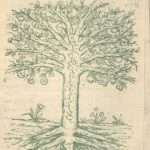 ارشیو نشریه تعلیمات اسلامی