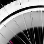 ارشیو نشریه اخبار فلسفه