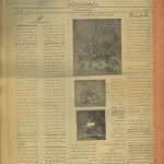 ارشیو روزنامه ستاره سال 1320