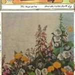 ارشیو نشریه پیک دانش آموز